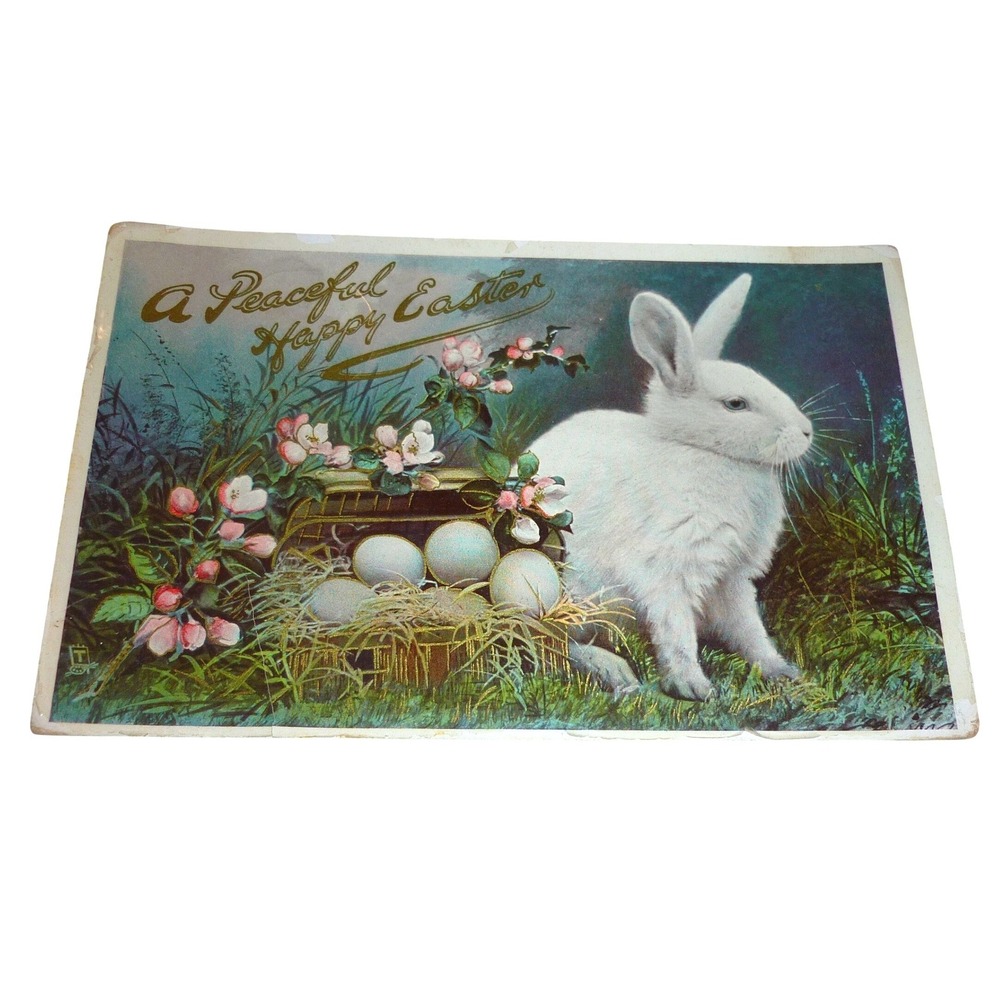 1910 Raphael Tuck Easter Postcard White Rabbit GEM Series 3646 Perry NY Postmark